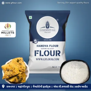 GHANSHYAM HANDVA 200 GM